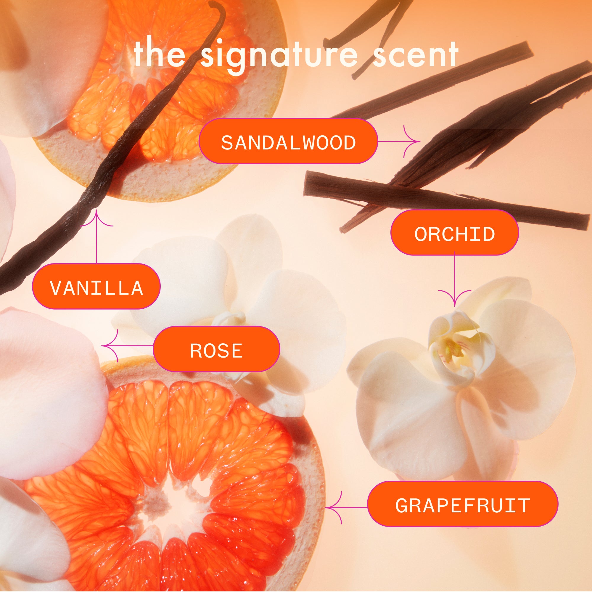 super-sized signature set normcore shampoo and conditioner + soulfood mask - Image 8